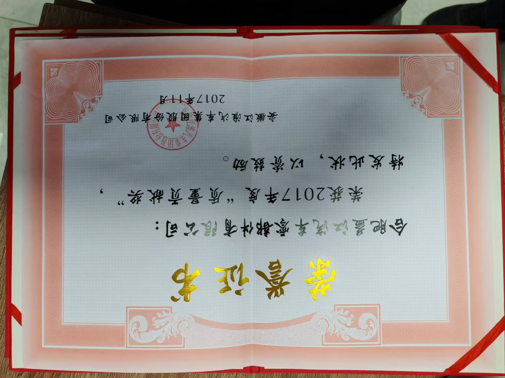 质量贡献奖 (2).jpg