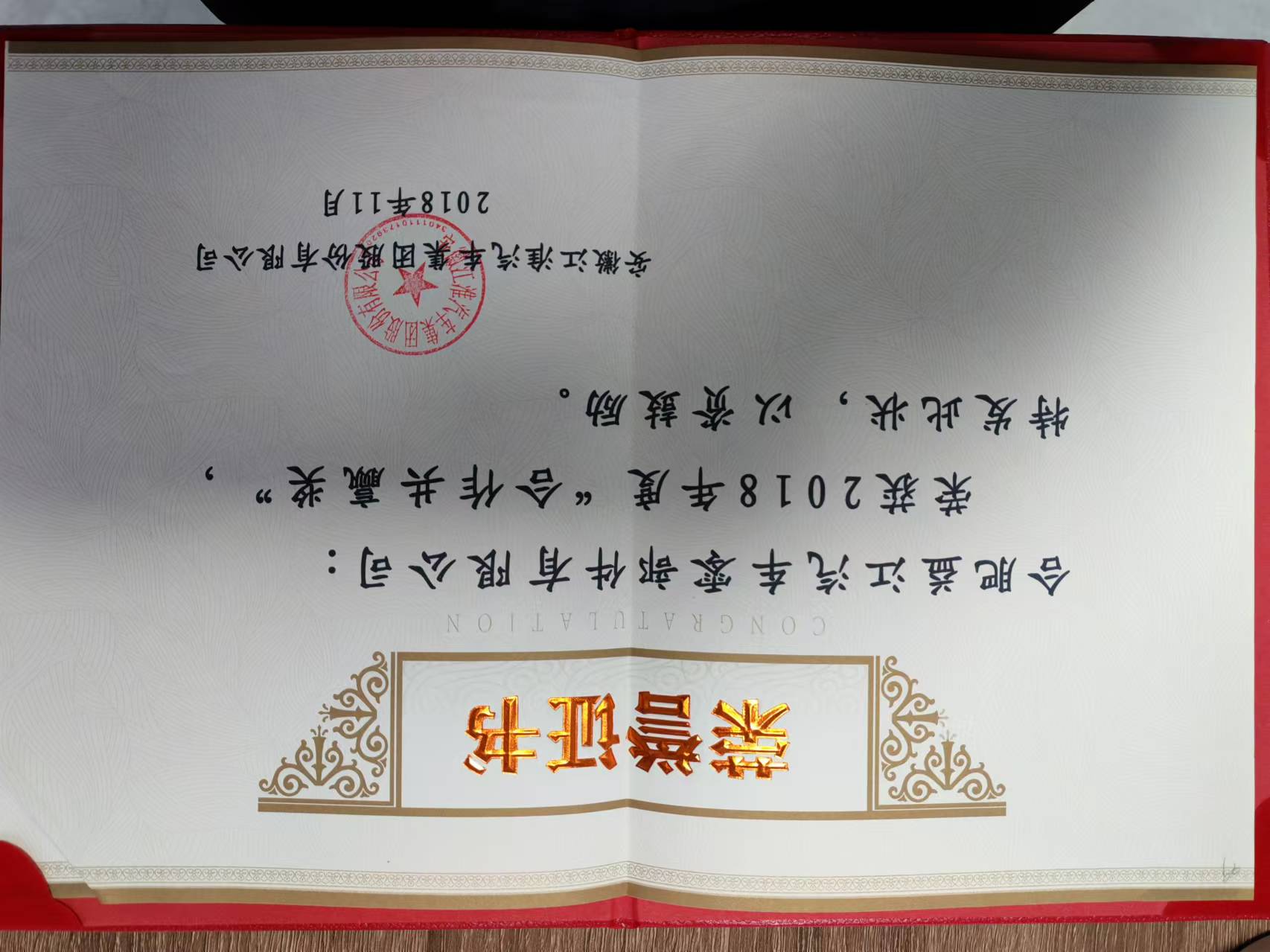 合作共赢奖 (3).jpg