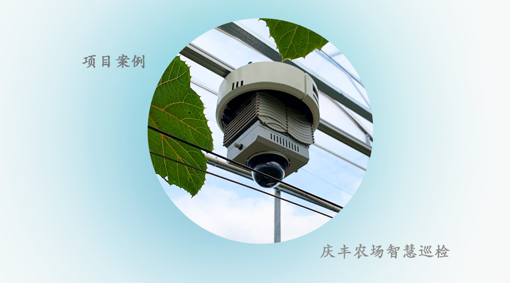 【项目案例】北大荒农业大棚巡检机器人--农作物长势病虫害分析