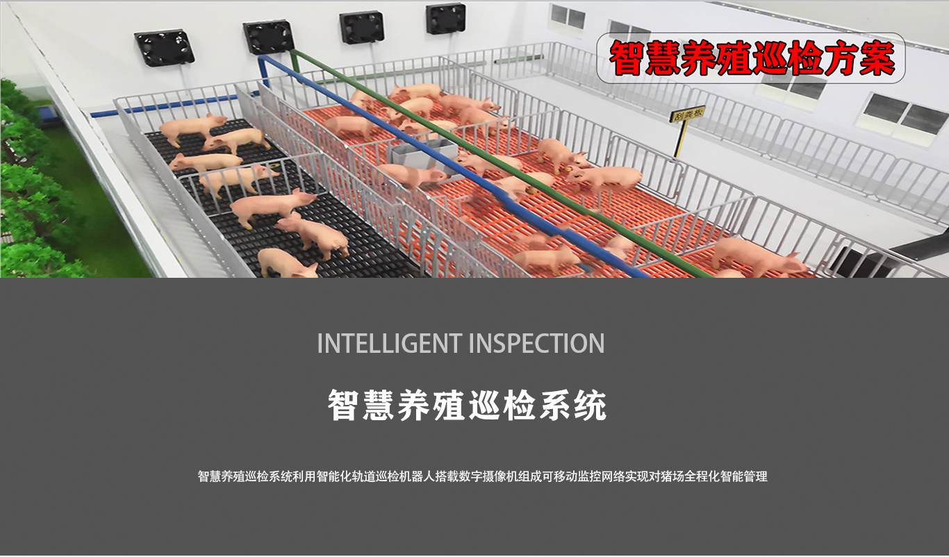 智慧猪场_01.jpg