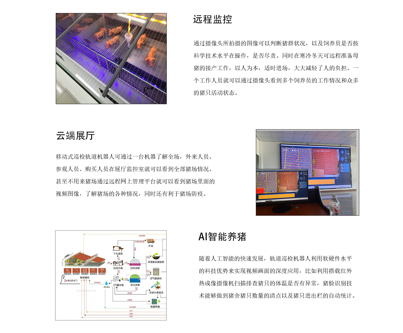 智慧猪场_02.jpg