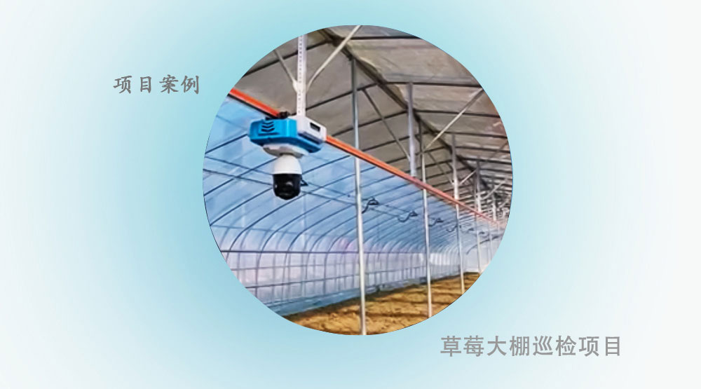 【项目案例】森普轨道巡检机器人项目---草莓大棚