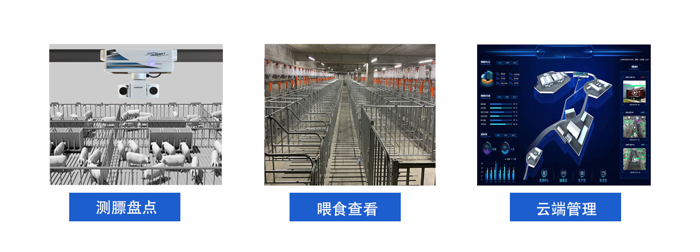 养殖5.jpg