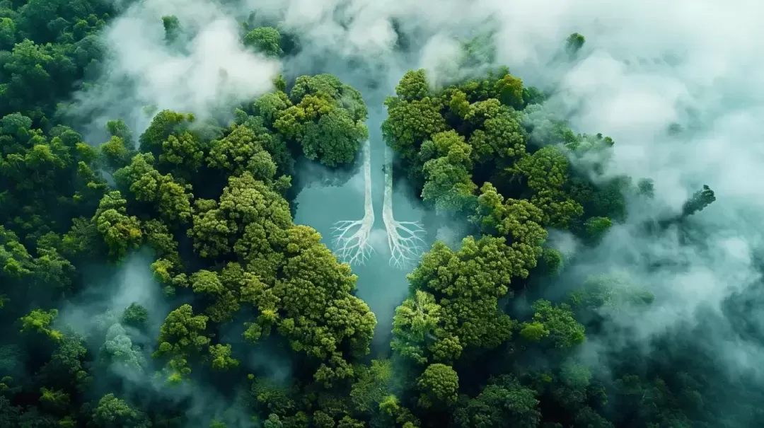 负氧离子，一种净化空气的绿色魔法！你值得拥有